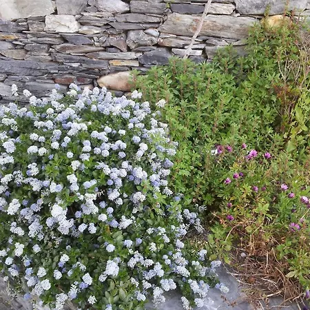 فندق Casona El Gurugu