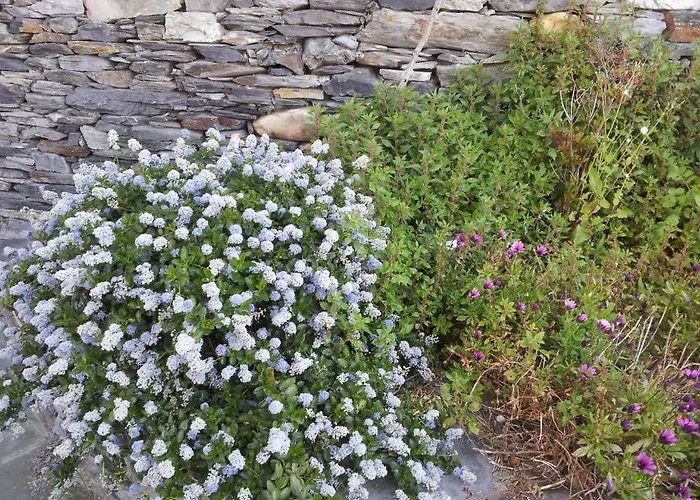 Hotel Casona El Gurugu